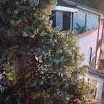 Moscani