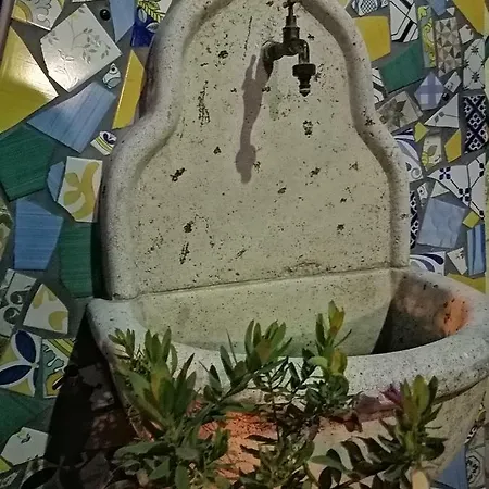 Moscani
